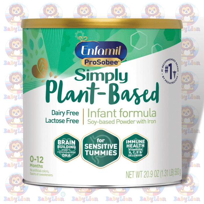 Enfamil Prosobee Soy-Based Infant Formula - 593G - Lactose &Amp;Amp; Dairy-Free - Image 1