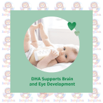 Mama Bear Organic Infant Formula - 658g Can - with Iron, DHA, Lutein, Vitamin E - for Brain and Eye Development - Image 4