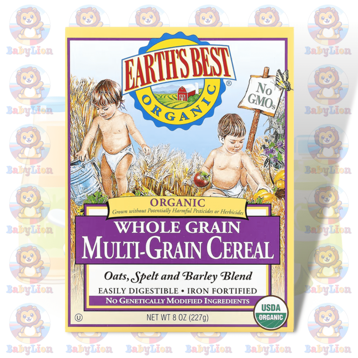 Earth'S Best Organic Whole Grain Multi-Grain Infant Cereal - 227G Image 01 Earth'S Best Organic Whole Grain Multi-Grain Infant Cereal - 227G - With Barley, Oat, Spelt, Vitamin E, Iron - For Healthy Growth - Image 1