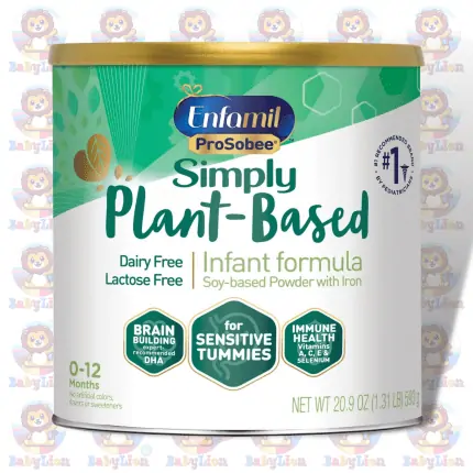 Enfamil ProSobee Soy-Based Infant Formula - 593g - Lactose & Dairy-Free